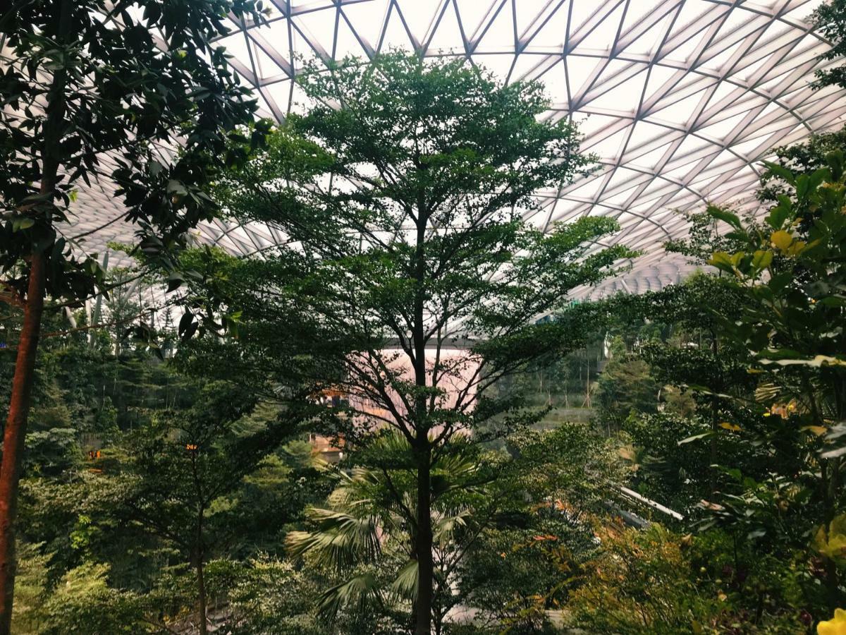Yotelair Singapore Changi Airport Landside Kültér fotó